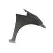 Aile avant droit BLIC [6504-04-2901314P]