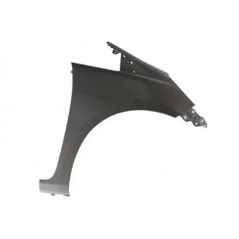 Aile avant droit BLIC 6504-04-2901314P