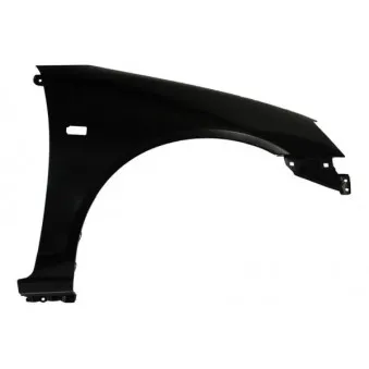 Aile avant droit BLIC 6504-04-2938312P