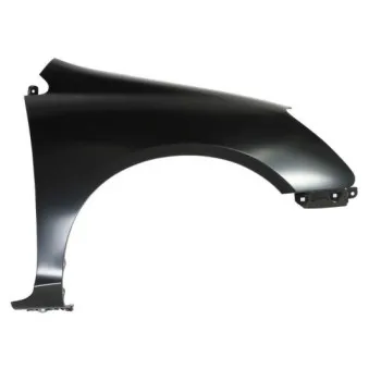 Aile avant droit BLIC 6504-04-2938318P