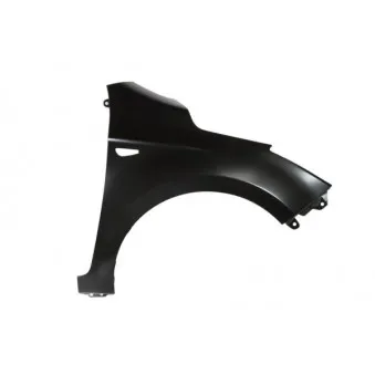 Aile avant droit BLIC 6504-04-3128314P