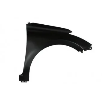 Aile avant droit BLIC 6504-04-3130312P