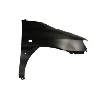 Aile avant droit BLIC 6504-04-3132312P
