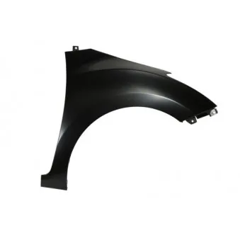 Aile avant droit BLIC 6504-04-3136314P