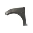 BLIC 6504-04-3150313P - Aile avant gauche 