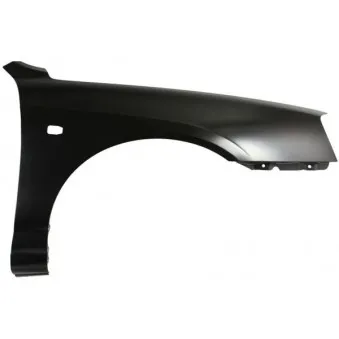 Aile avant droit BLIC 6504-04-3163318P