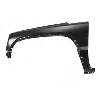 Aile avant gauche BLIC 6504-04-3211311P