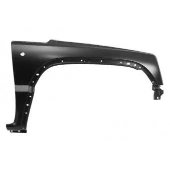 BLIC 6504-04-3211312P - Aile avant droit 