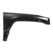 BLIC 6504-04-3211316P - Aile avant droit 