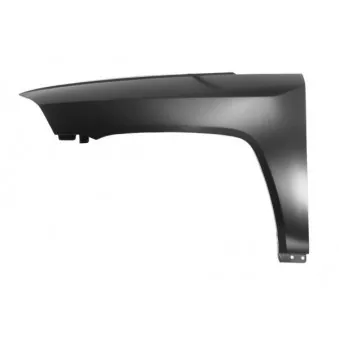 Aile avant gauche BLIC 6504-04-3212311P