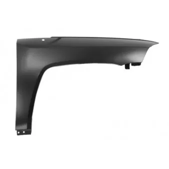 Aile avant droit BLIC 6504-04-3212312P