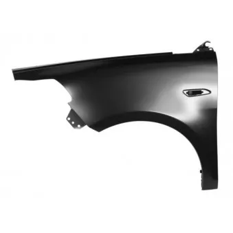 Aile avant gauche BLIC 6504-04-3332311P