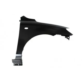 Aile avant droit BLIC 6504-04-3419312P