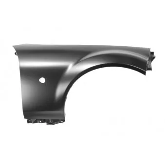 Aile avant droit BLIC 6504-04-3457314P