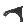 BLIC 6504-04-3493311P - Aile avant gauche 