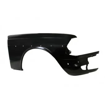 Aile avant droit BLIC 6504-04-3525312P