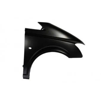 Aile avant droit BLIC 6504-04-3541316P