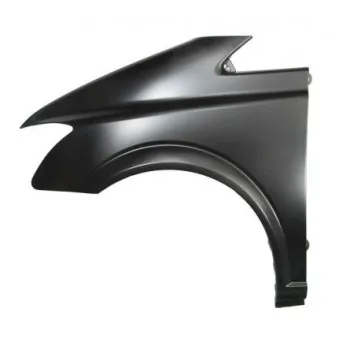 Aile avant gauche BLIC 6504-04-3542313P