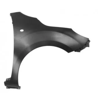 Aile avant droit BLIC 6504-04-3590312P