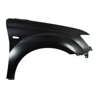 Aile avant droit BLIC 6504-04-3750314P