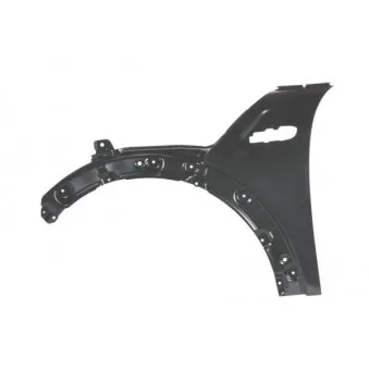 Aile avant gauche BLIC 6504-04-4002313P