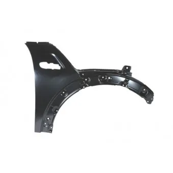 Aile avant droit BLIC 6504-04-4002314P