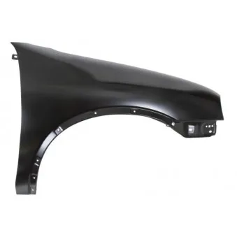 Aile avant droit BLIC 6504-04-5022312P