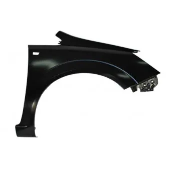 Aile avant droit BLIC 6504-04-5063312P