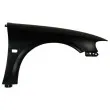 Aile avant droit BLIC [6504-04-5077312P]