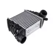 Intercooler, échangeur TEKNÖR [CNG-AU-016]