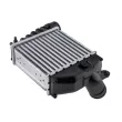 SAMAXX CNG-AU-017 - Intercooler, échangeur