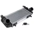 Intercooler, échangeur TEKNÖR [CNG-AU-021]
