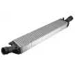 Intercooler, échangeur TEKNÖR [CNG-AU-024]