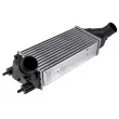 Intercooler, échangeur TEKNÖR [CNG-FR-014]