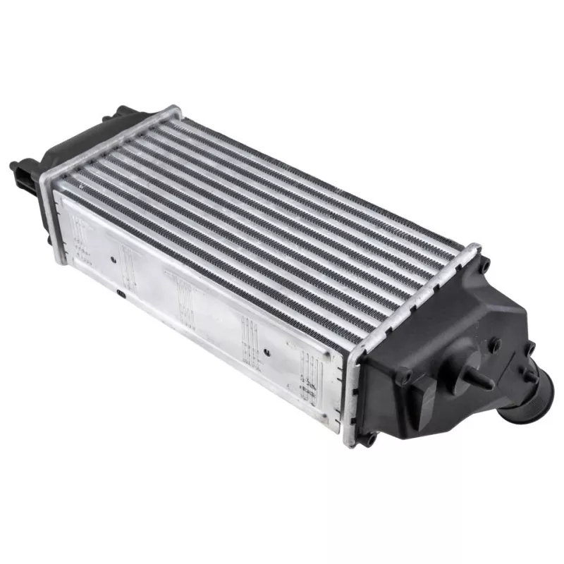 Intercooler, échangeur TEKNÖR CNG-FR-014 - Visuel 1