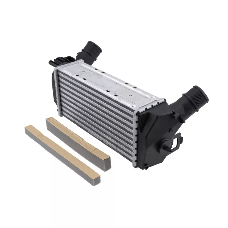 Intercooler, échangeur TEKNÖR CNG-FR-018 - Visuel 1