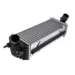 Intercooler, échangeur TEKNÖR [CNG-KA-000]