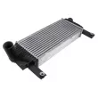 Intercooler, échangeur TEKNÖR [CNG-NS-001]