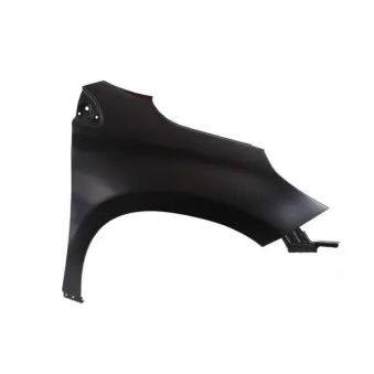 Aile avant droit BLIC 6504-04-5516312P