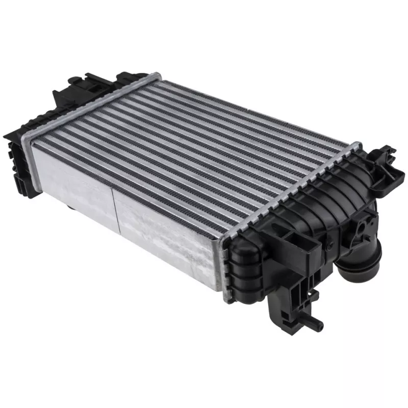 Intercooler, échangeur TEKNÖR CNG-PL-009 - Visuel 1