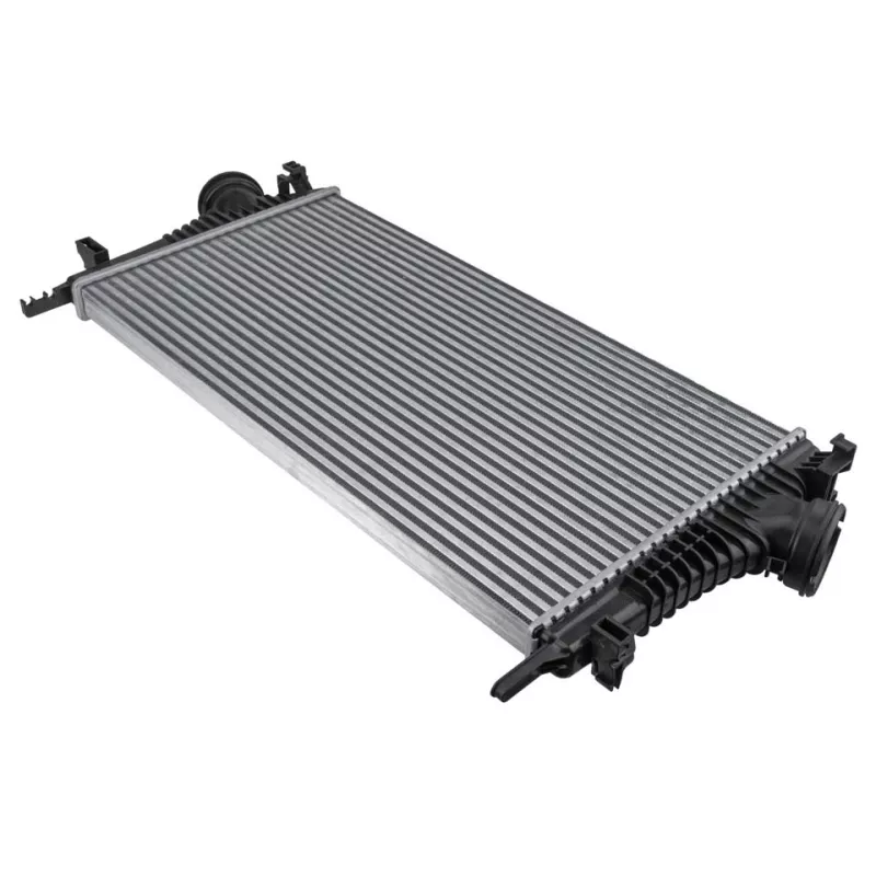 Intercooler, échangeur TEKNÖR CNG-PL-010 - Visuel 1