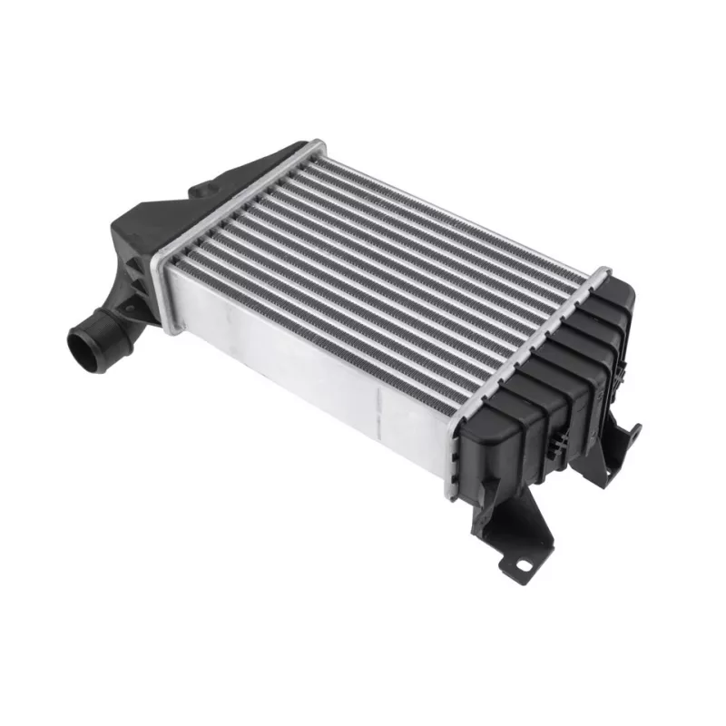 Intercooler, échangeur TEKNÖR CNG-PL-011 - Visuel 1