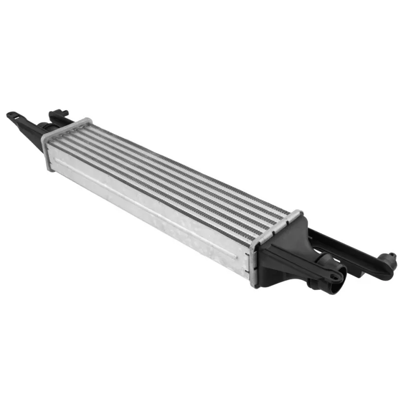 Intercooler, échangeur TEKNÖR CNG-PL-013 - Visuel 1