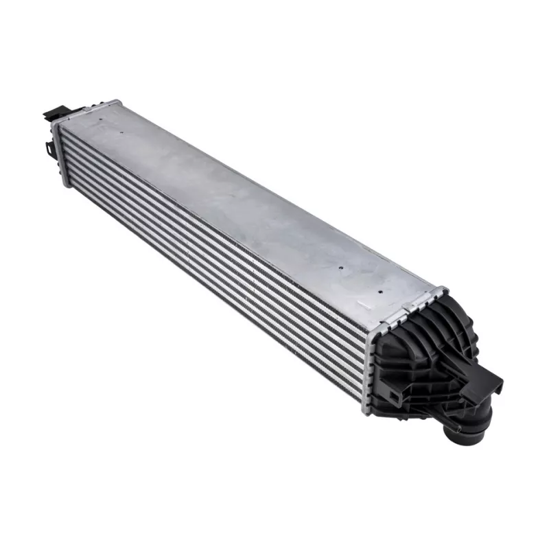 Refroidisseur d'air de suralimentation TEKNÖR CNG-RE-004 - Visuel 1