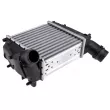 Intercooler, échangeur TEKNÖR [CNG-RE-006]