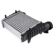 TEKNÖR CNG-SK-000 - Intercooler, échangeur