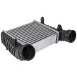 Intercooler, échangeur TEKNÖR [CNG-SK-001]