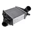 Intercooler, échangeur TEKNÖR [CNG-VW-016]