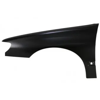 Aile avant gauche BLIC 6504-04-5536311P