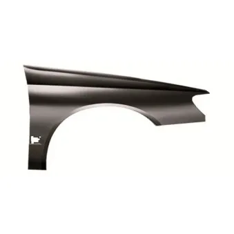 Aile avant droit BLIC 6504-04-5536312P